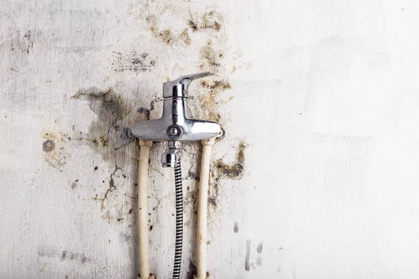Best Health and Safety Mold Remediation in Sperry, OK