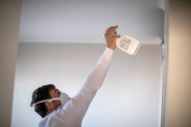 Best Black Mold Remediation in Sperry, OK