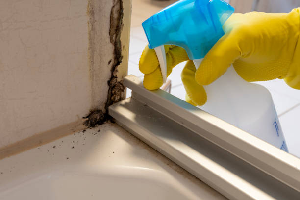 Best Mold Remediation for Schools in Sperry, OK
