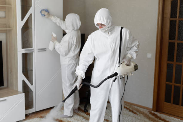 Best Mold Remediation for Specific Building Types in Sperry, OK