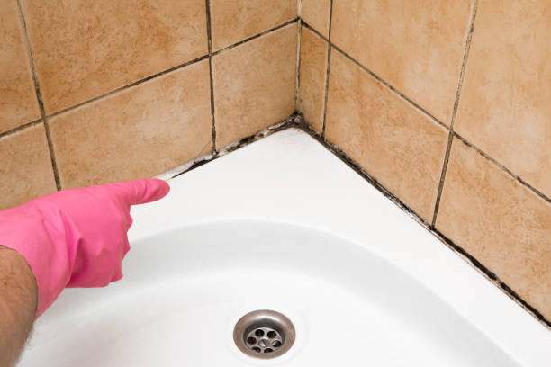 Best Bathroom Mold Remediation in Sperry, OK